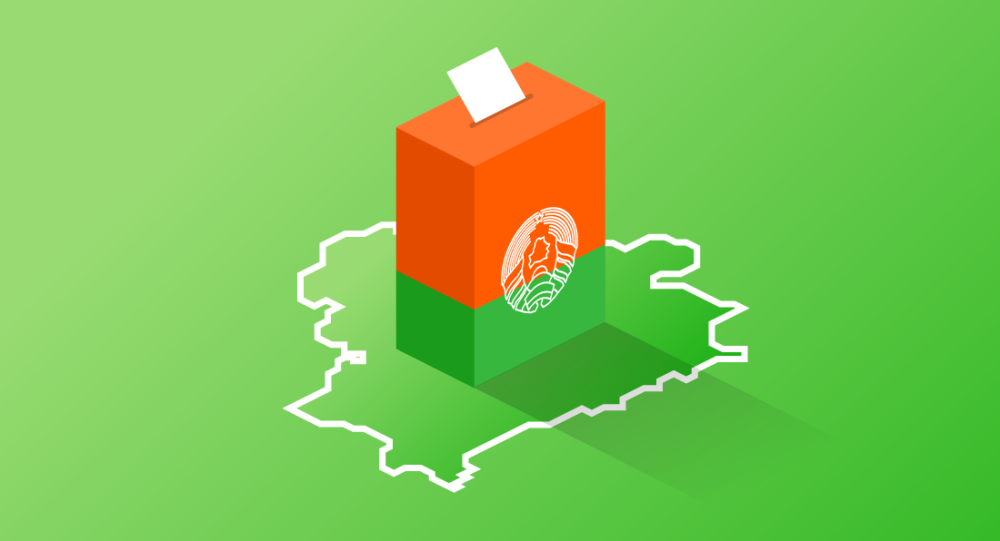 Картинка выборы в беларуси